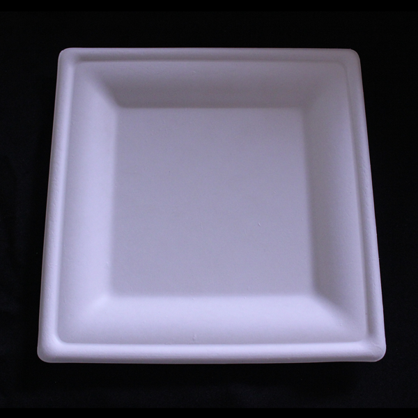 8″ [20cm] Square Plate