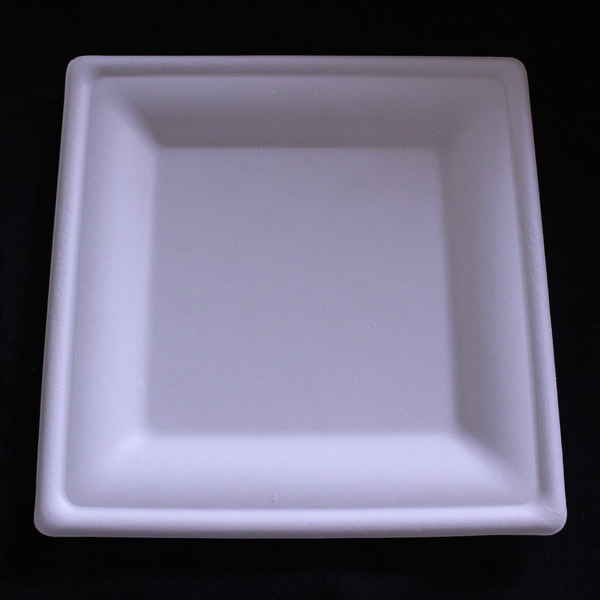 10.25″ [26 Cm] Square Plate