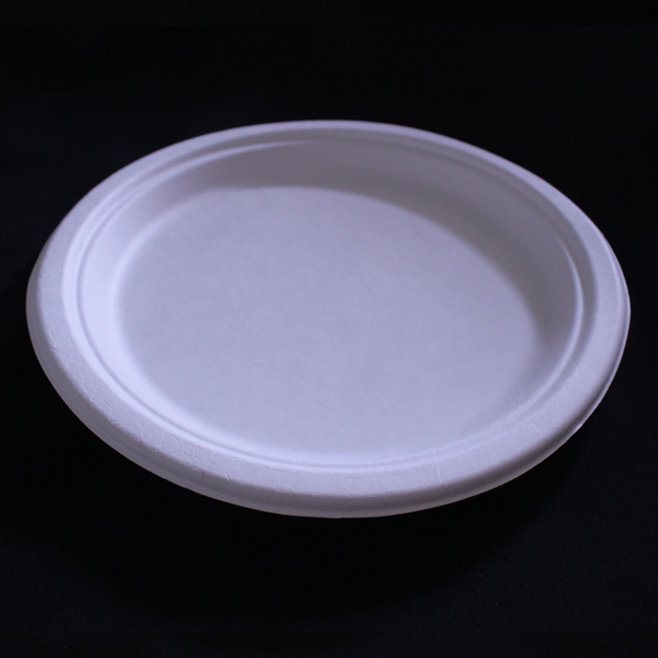 10″ Round Plate