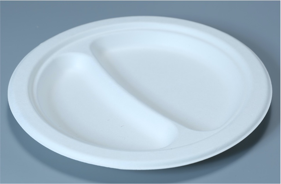 9″ 2-Compartment Round Plate