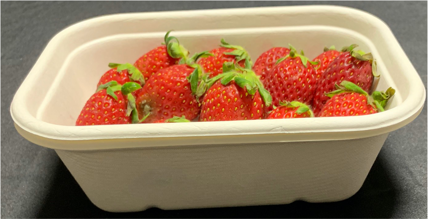 650ml Rect Container 174 X 120 X 52mm