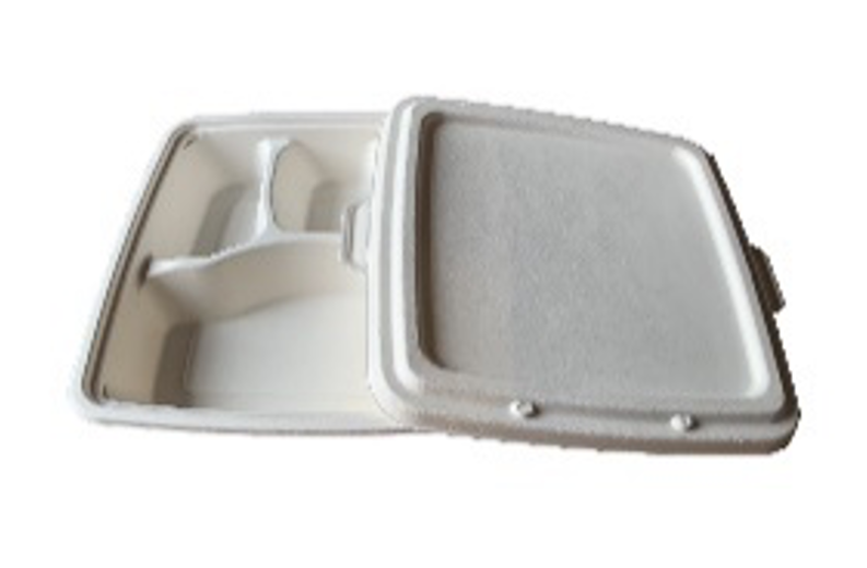Bagasse Lid For 1/3/4-Compartment Deep Tray 228 X 228mm